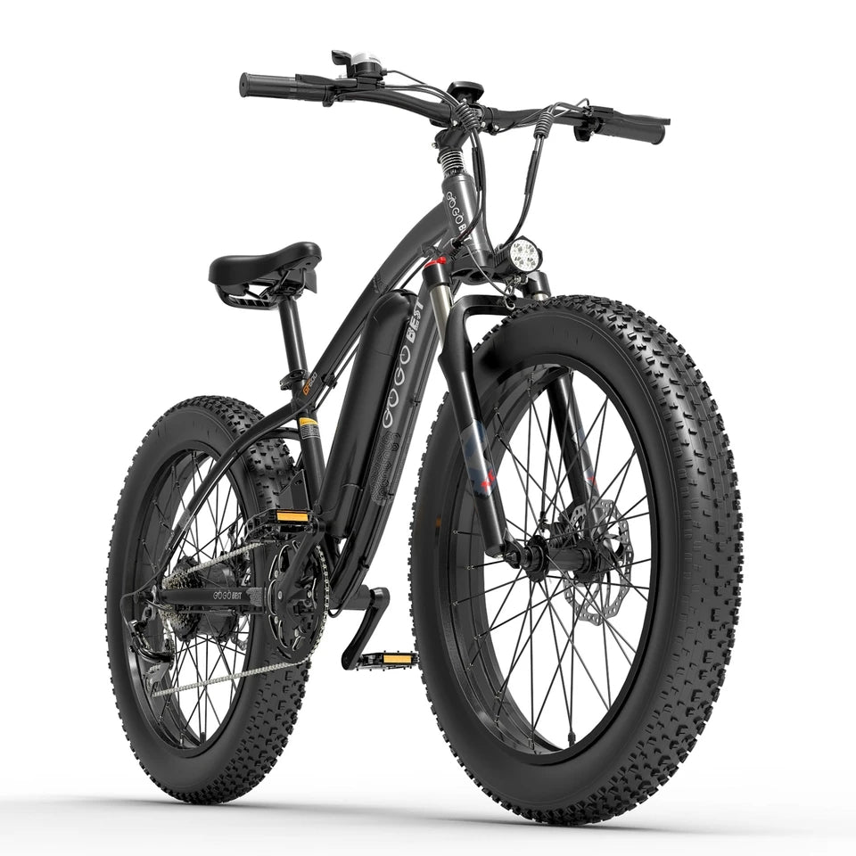 electric bike GF600 1000W 