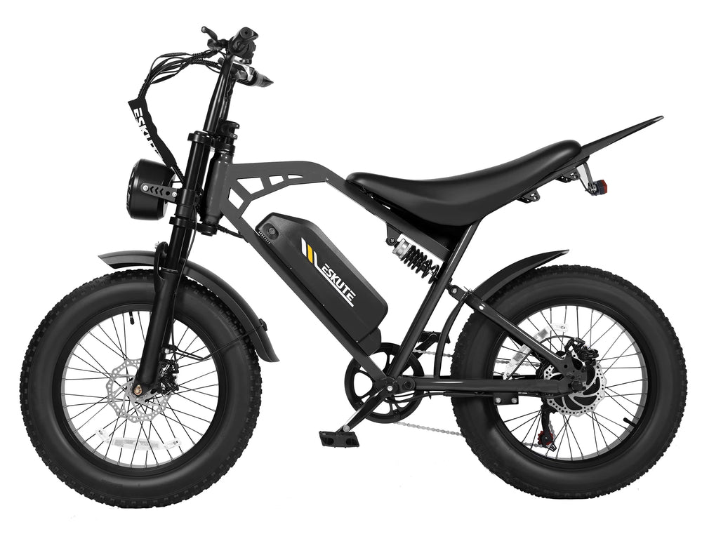 ESKUTE V202 20 Inch Fat Tire Electric Bike