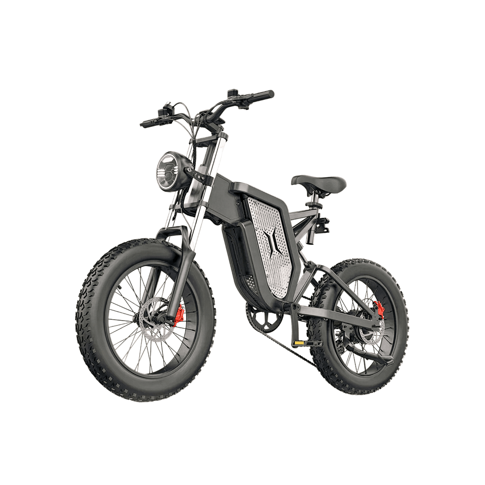 Vélo électrique tout-terrain EKX X20 