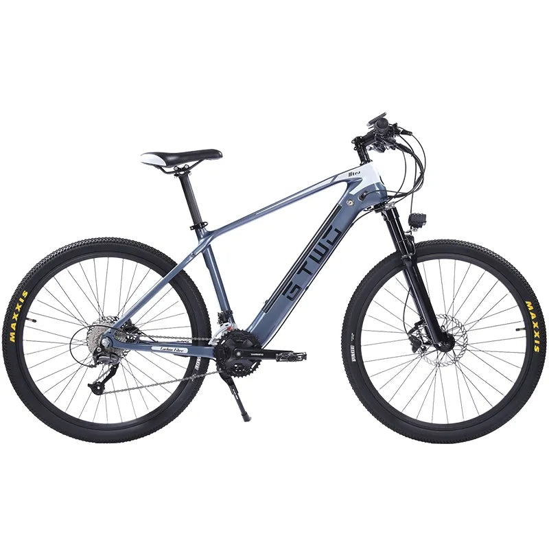 Vélo électrique de montagne en fibre de carbone GTWO G1 2024 