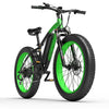 electric bike GF600 1000W 