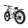 AWD Duotts ​​F26 Two Motor Electric Bike