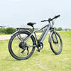 CST electric bike