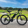 IDOTATA electric bike