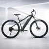 Silvester Pro Tour electric bike