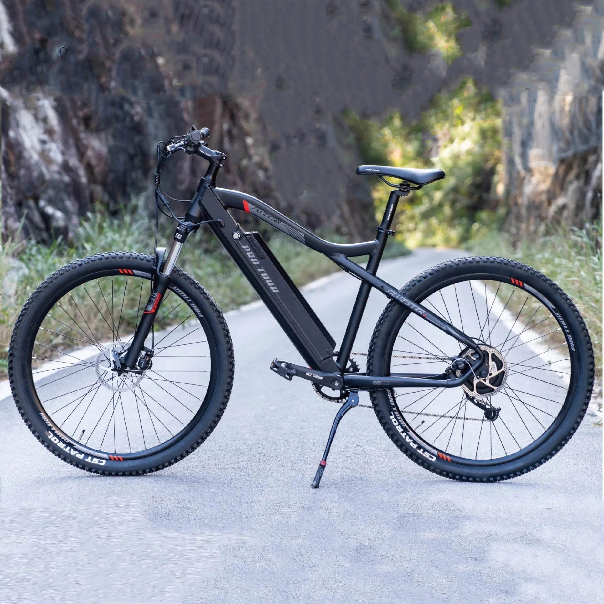 Silvester Pro Tour electric bike