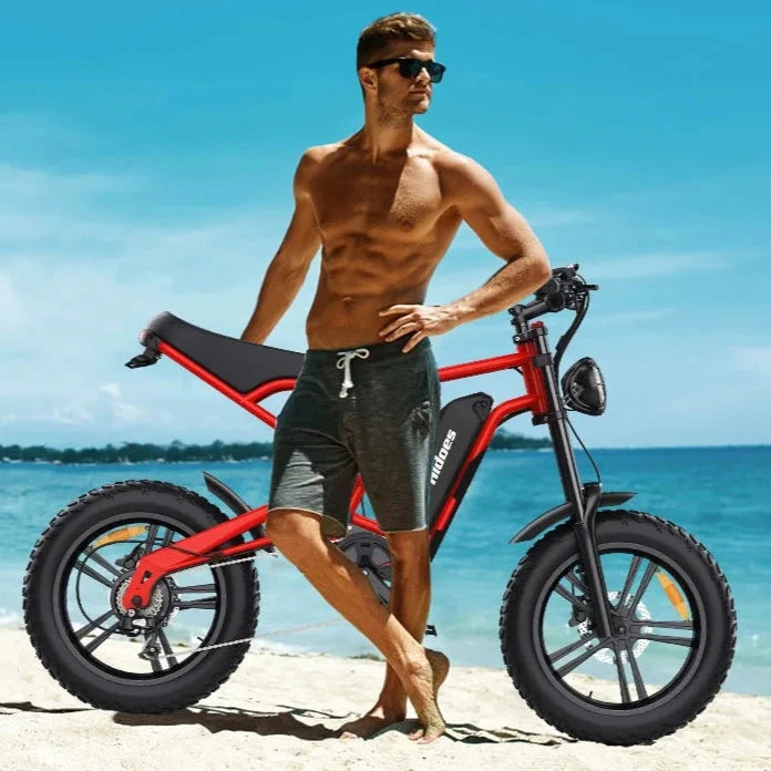 Hidoes B6 electric bike