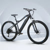 Silvester Pro Tour electric bike